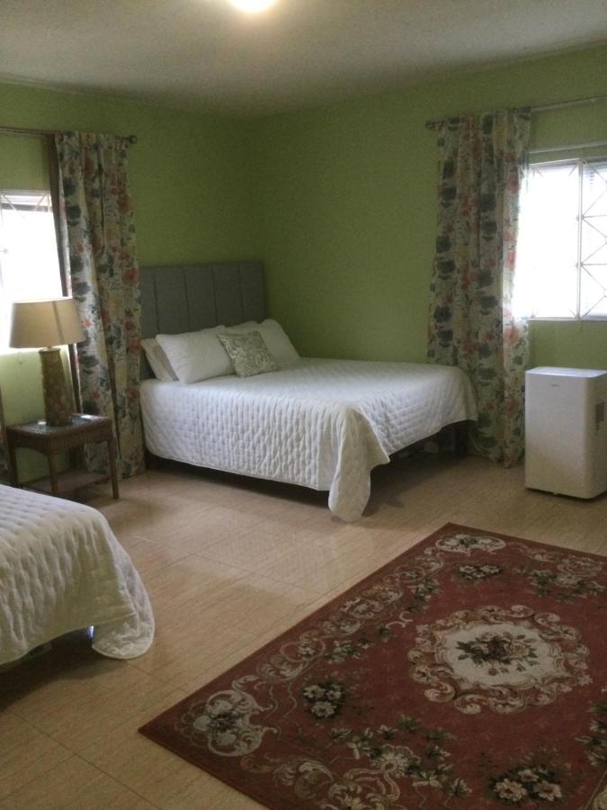 Mountain View Retreat St.elizabeth Far Enough
